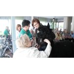 28.05.2015 Seniorenheim Vitaris